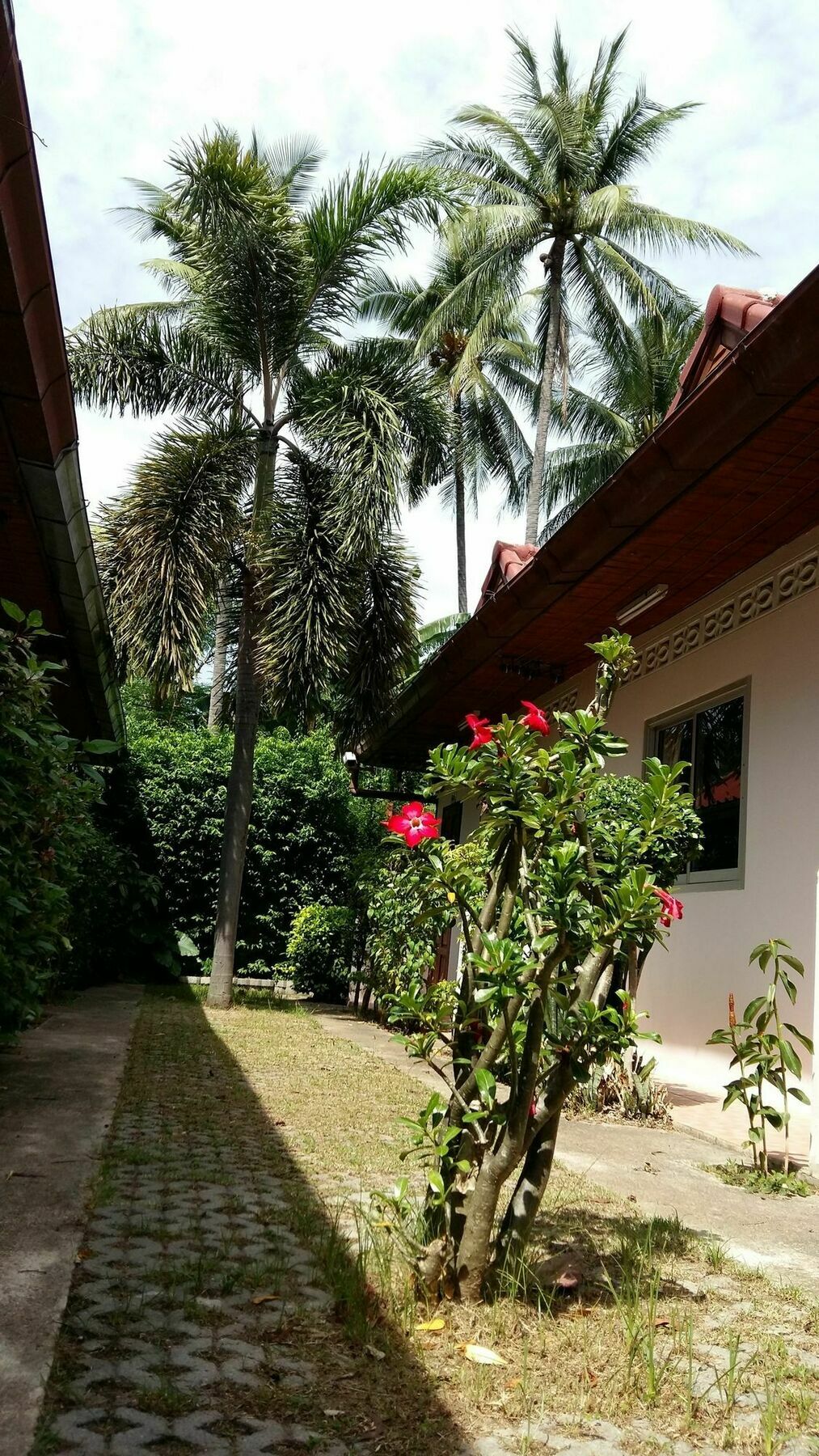 Saver Guesthouse Bãi biển Chaweng Ngoại thất bức ảnh