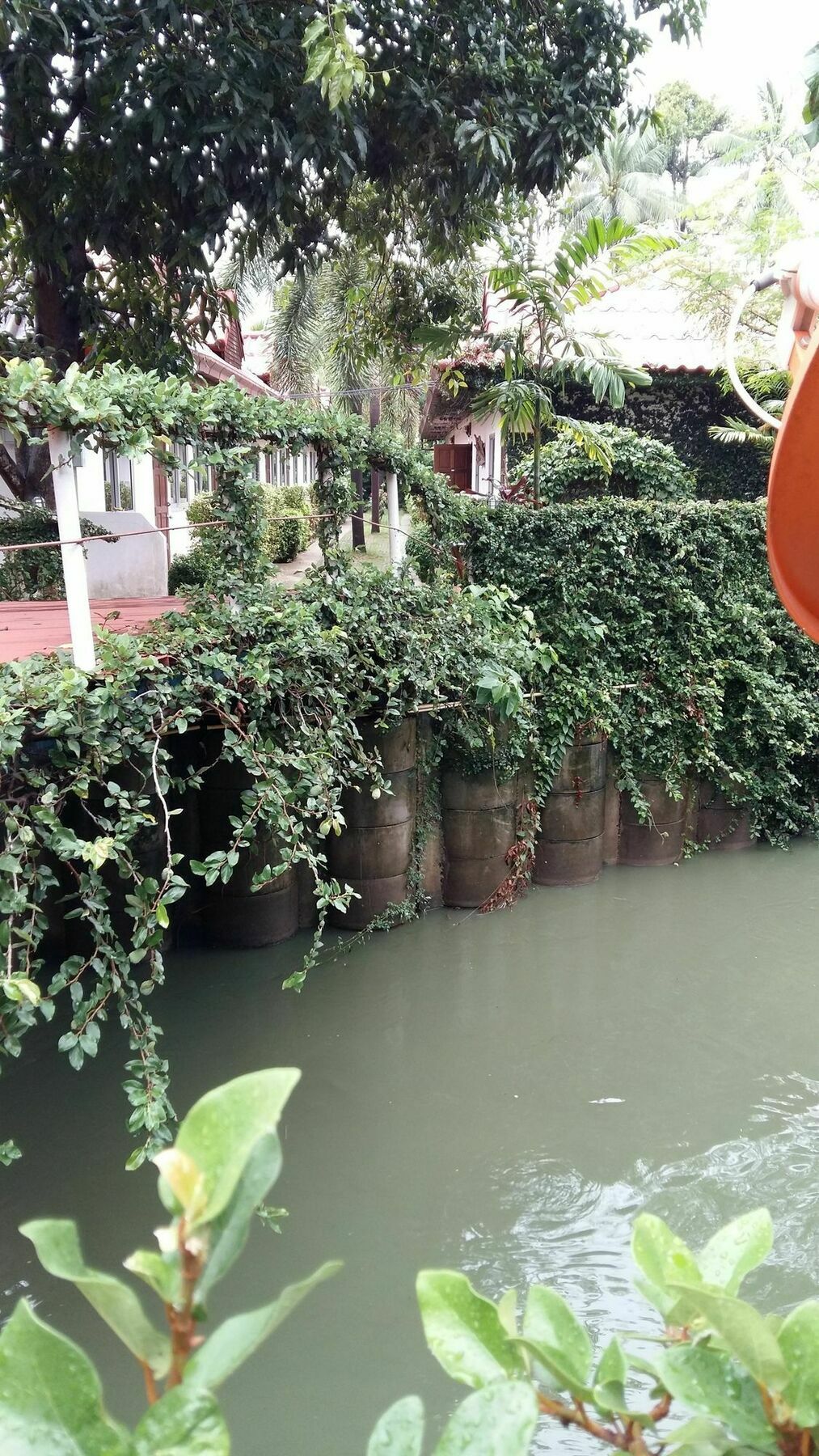 Saver Guesthouse Bãi biển Chaweng Ngoại thất bức ảnh