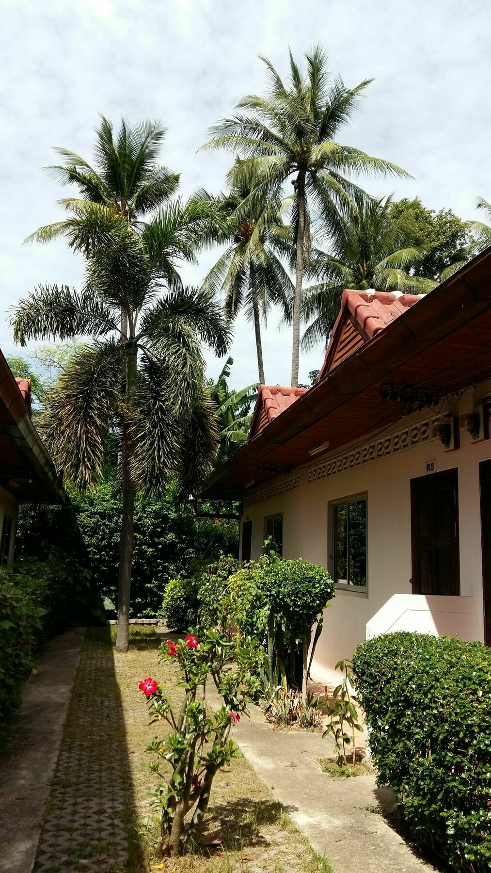 Saver Guesthouse Bãi biển Chaweng Ngoại thất bức ảnh