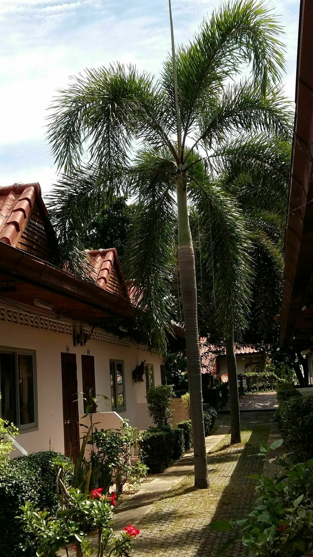 Saver Guesthouse Bãi biển Chaweng Ngoại thất bức ảnh